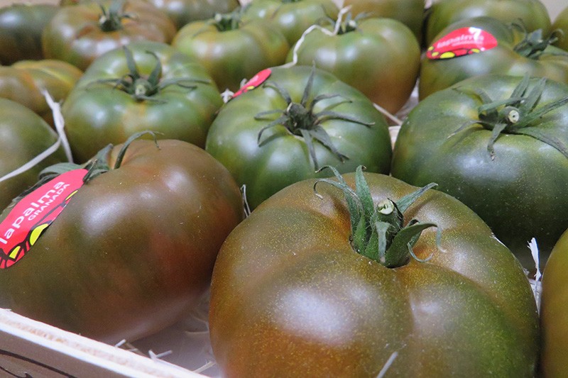 tomate-asurcado-marron-