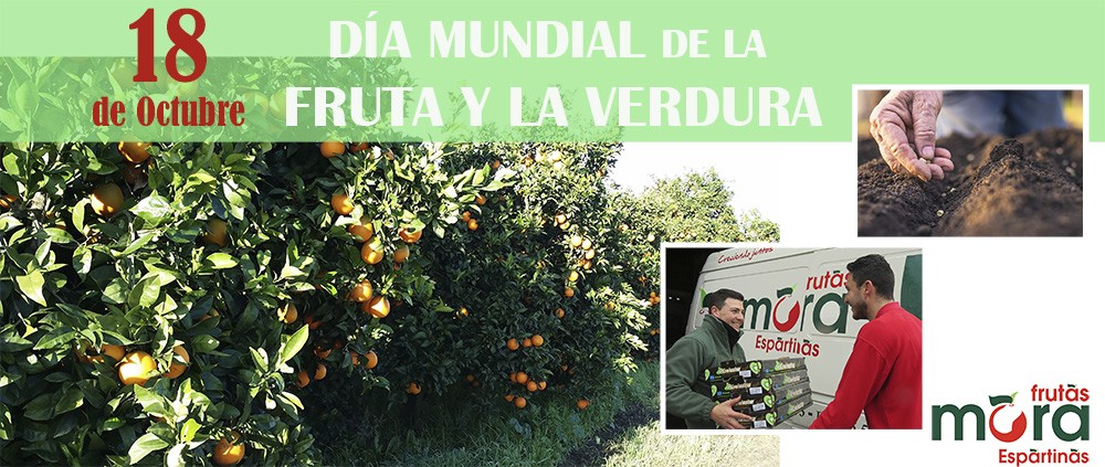 BANNER-dia-mundial-frutas-verduras-19-puertas-abiertas-