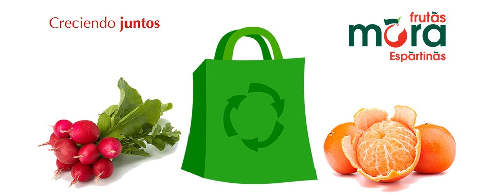 bolsas-recicladas-para-fruteros-1-