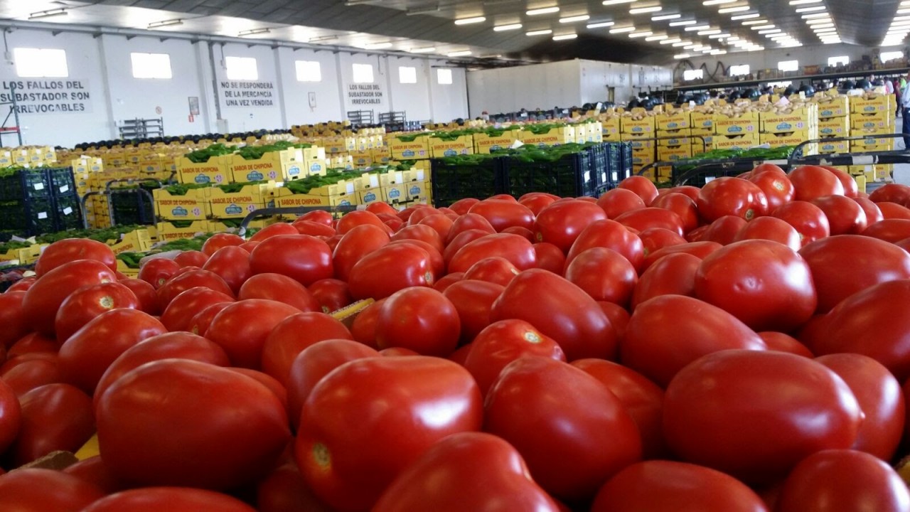 Frutas_Verduras_Sabor_Chipiona_